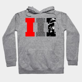 AJ 3 Black Cement Hoodie